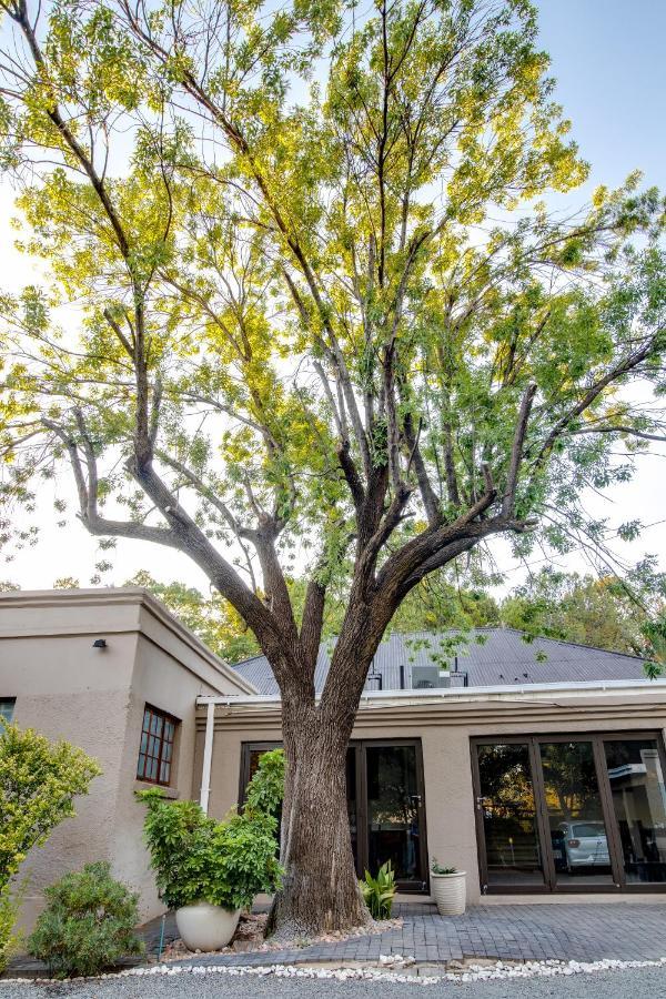 The Nightingale Guesthouse Bloemfontein Bagian luar foto